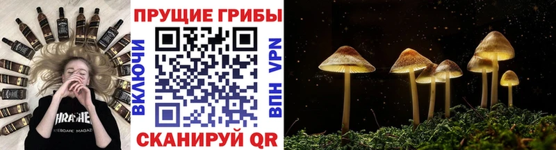 Псилоцибиновые грибы MAGIC MUSHROOMS  Саров 